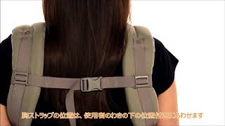 トイザらス ･ エルゴベビーADAPT
