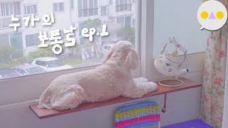 {누가의 보통날} ep.1 젤 좋아하는 여덟가지 WITH 냥품멍품