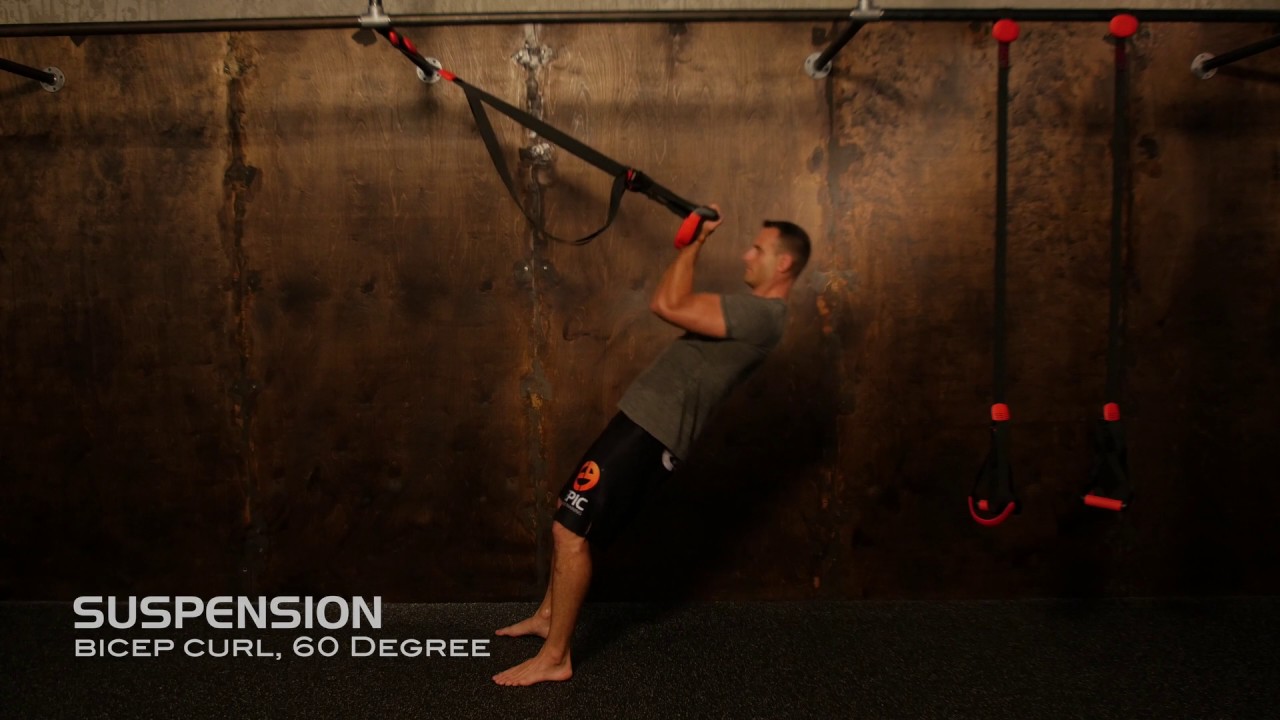 Suspended Bicep Curls Suspension Training Exercises YouTube