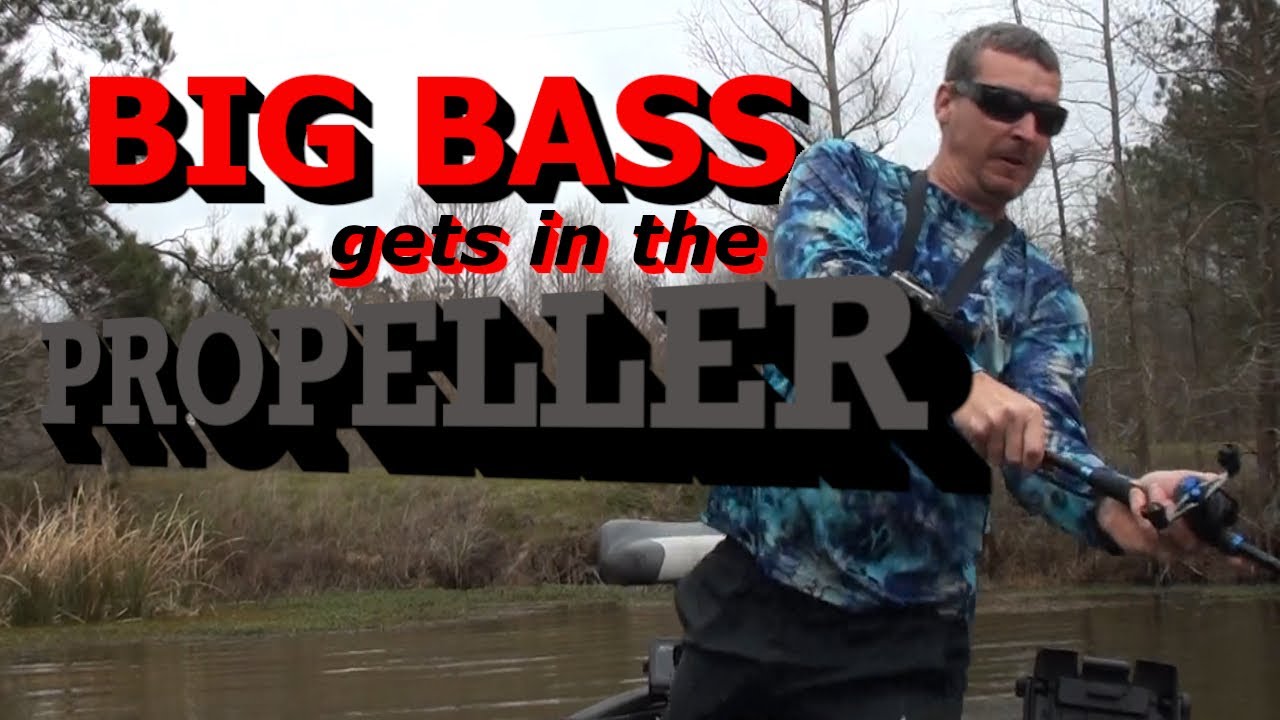 6 POUND BASS GETS IN THE PROPELLER YouTube