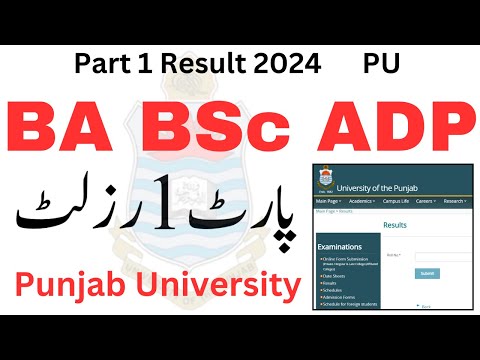 BA BSc ADP