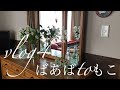 【暮らしvlog】朝掃除、キッチン家電のリセットで心地よい暮らし