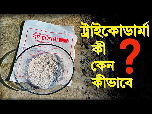 Erkakning toplari tortilmoqda (video)