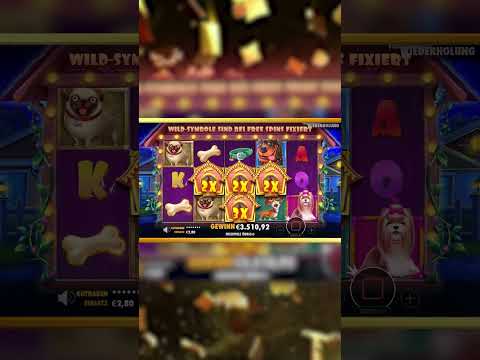 Spin Star Online Casino: Geniet van Het Beste Online Casinospel in het Nederlands
