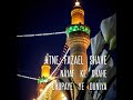 Maula Maula bolega | Mohsin Raza hashmi | Shia whatsapp status | 13 rajab whatsapp status. Whatsapp Status Video Download Free