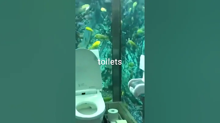 i tried the world's weirdest toilets