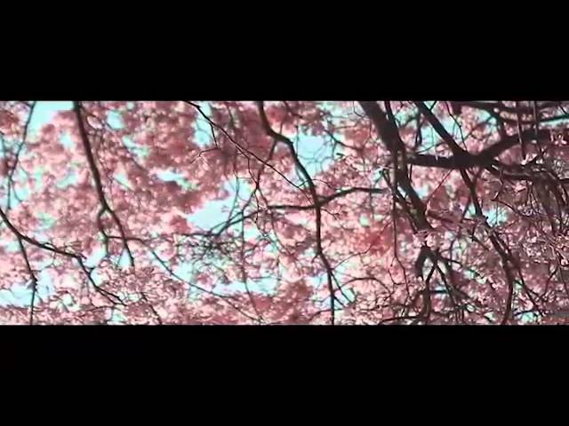 Watch La guarania crece en los territorios del agua - Carta desde Asunción on YouTube Watch La guarania crece en los territorios del agua - Carta desde Asunción on YouTube