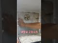 냉장실 수리 냉장실이 시원하지 않을때 