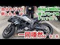 立ちゴケ!? じゃないよ! バイク最大バンク角は? 立ちごけ Ninja1000SX 最大バンク角 モトブログ スタントケージ有りで転倒した場合 効果 #Shorts