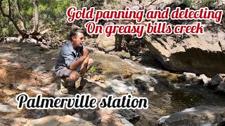 Gold panning and detecting on greasy bills creek, Palmerville station