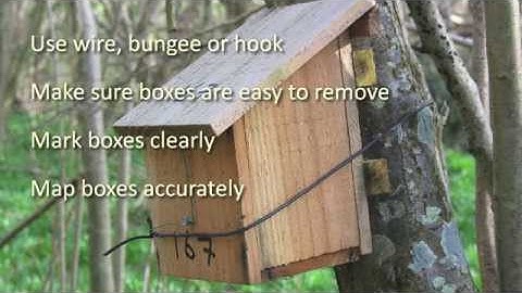 A guide to putting up a dormouse box