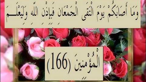 القران الكريم سورة آل عمران الأية 166