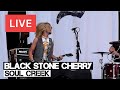 Black Stone Cherry - Soul Creek Live in [HD] @ Hard Rock Calling 2012