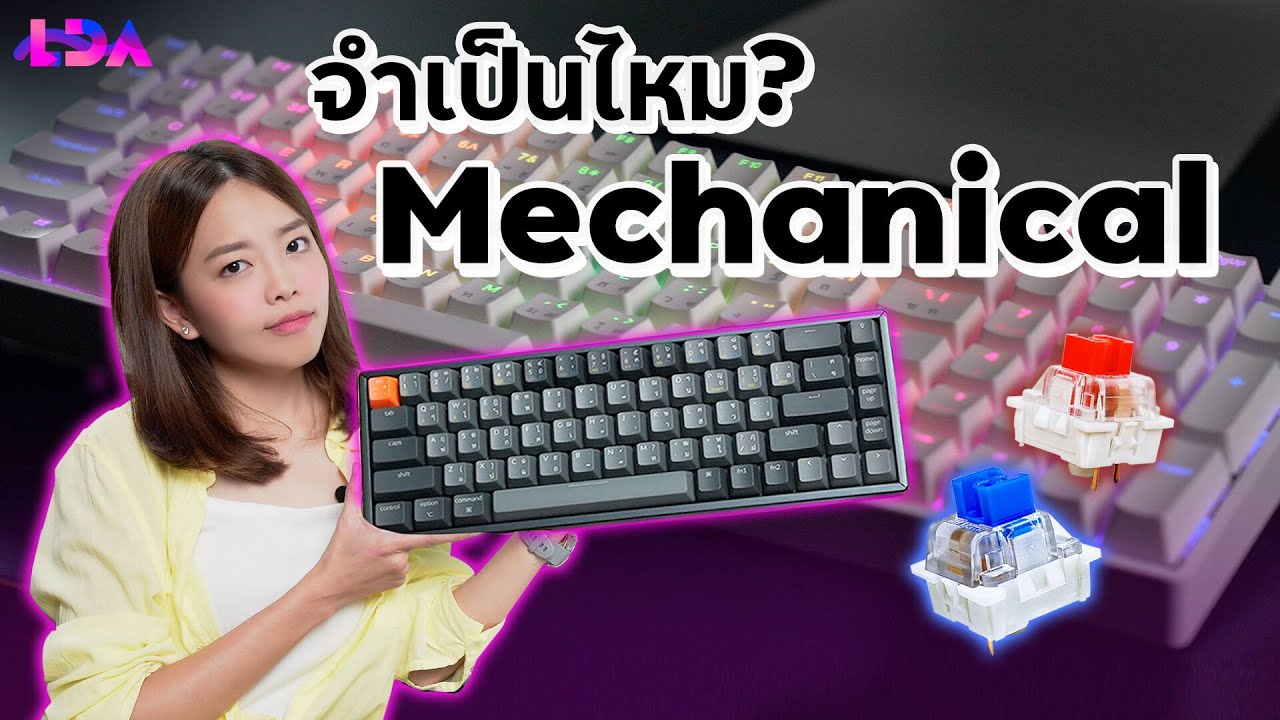 mechanical keyboard แนะนํา 2018  2022 Update  คีย์บอร์ด Mechanical ดียังไง? ทำไมถึงฮิต? เลือกแบบไหนคุ้มสุด! | LDA World