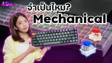 คีย์บอร์ด Mechanical ดียังไง? ทำไมถึงฮิต? เลือกแบบไหนคุ้มสุด! | LDA World
