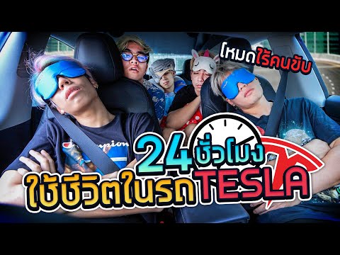 วีดีโอ: 17 สุนัขที่ต้องการให้คุณโยนบอลประณามแล้ว