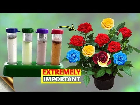 CHECK THIS TO INCREASE FLOWERING & FRUITING | ALL YOU NEED TO KNOW ABOUT GARDEN SOIL PH