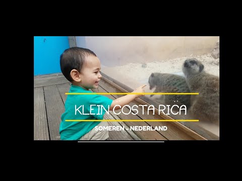 Hutan di dalam rumah kaca KLEIN COSTA RICA, SOMEREN-BELANDA