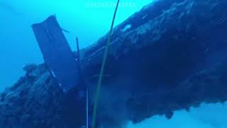 Spearfishing an 86lb Black Grouper off a 19th century Shipwreck (200FT+)