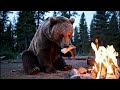 Bear Grills Salmon After Finding It at the River! 😂🐟🔥 #veo3 #bear #salmon #wildchef #vlog #food #ai