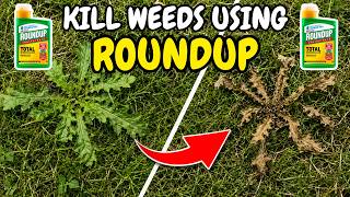 How to Kill Lawn Weeds using Roundup