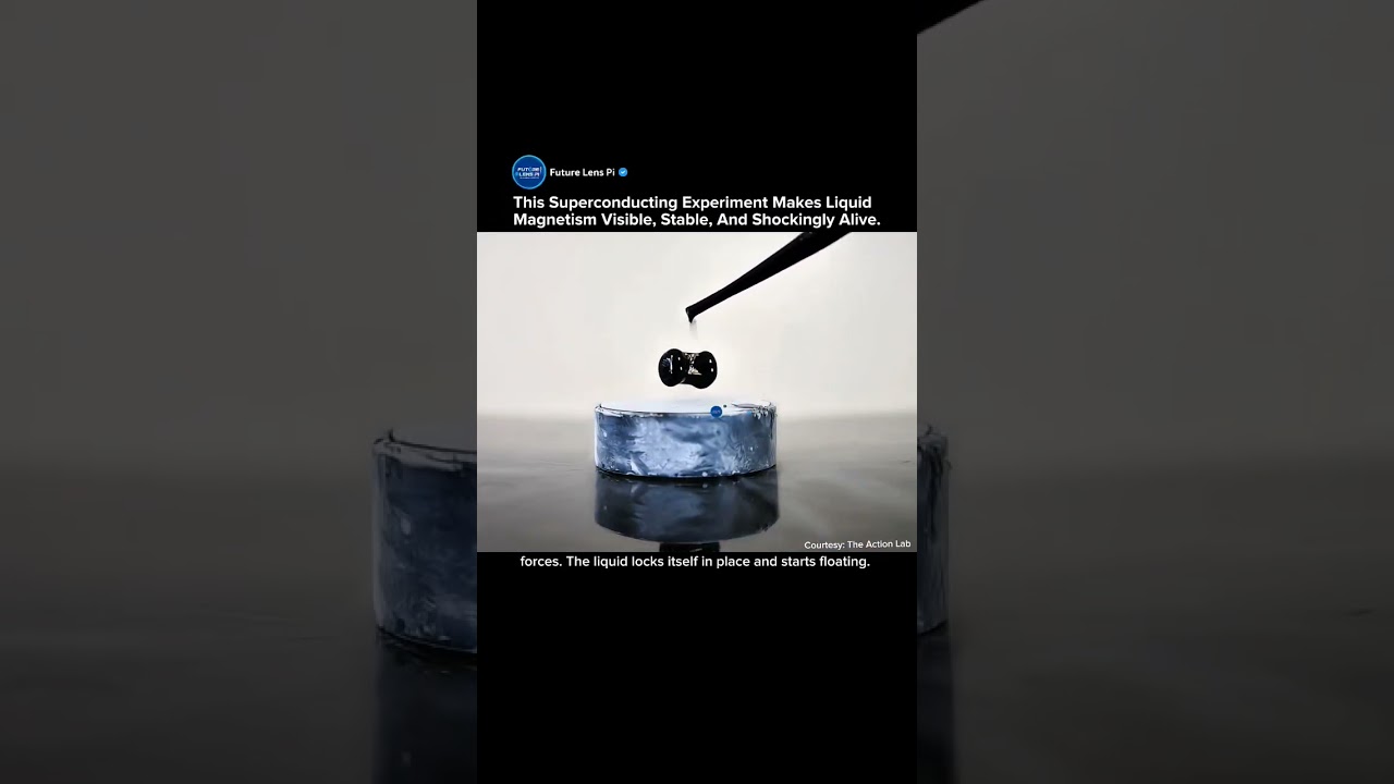 When Magnetic Ferrofluid Meets a Superconductor | The Most Bizarre Physics Experiment Ever 