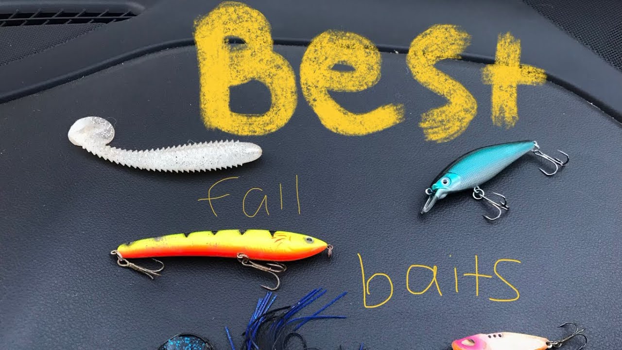 Best fall baits for your next trip