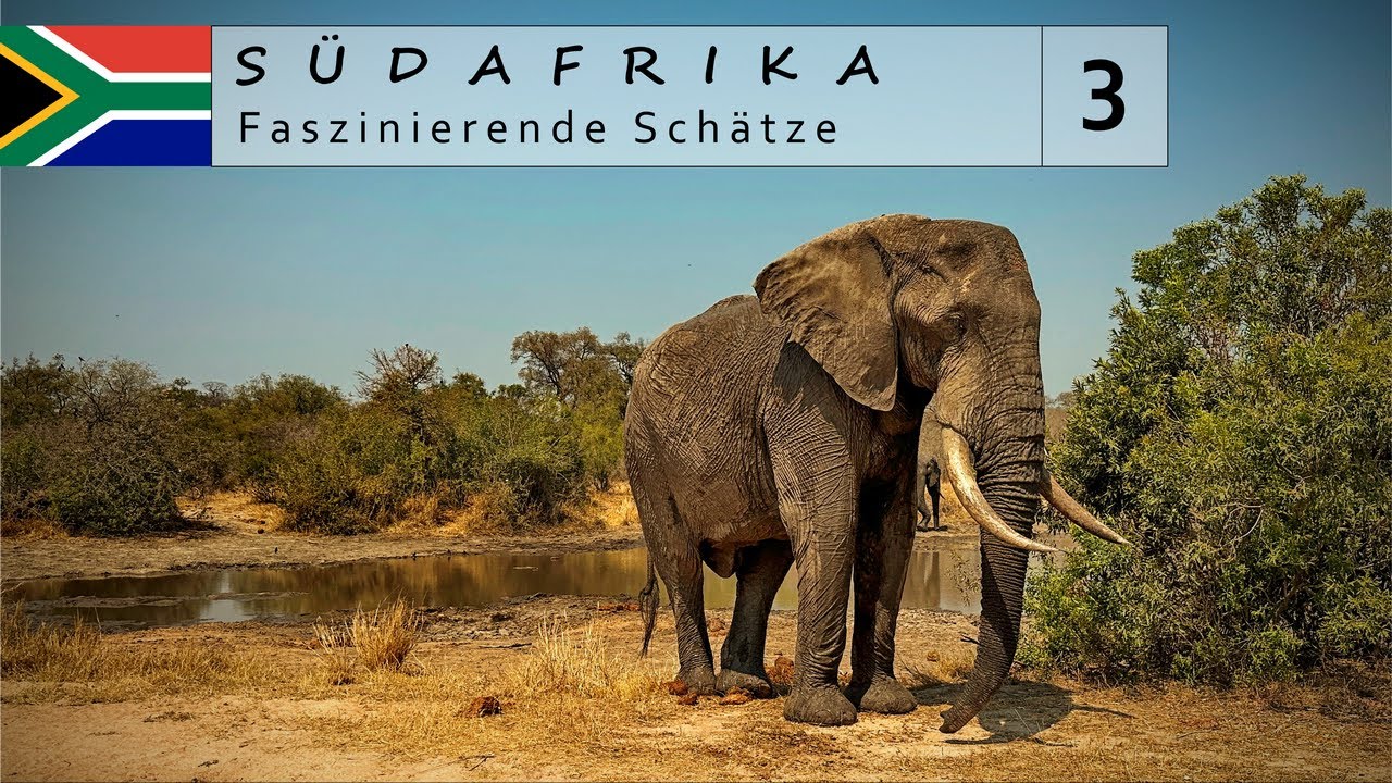 Südafrika 🇿🇦 Kruger National Park Selbstfahrer Safari - Panorama Route | Road Trip 2023 (3/3)