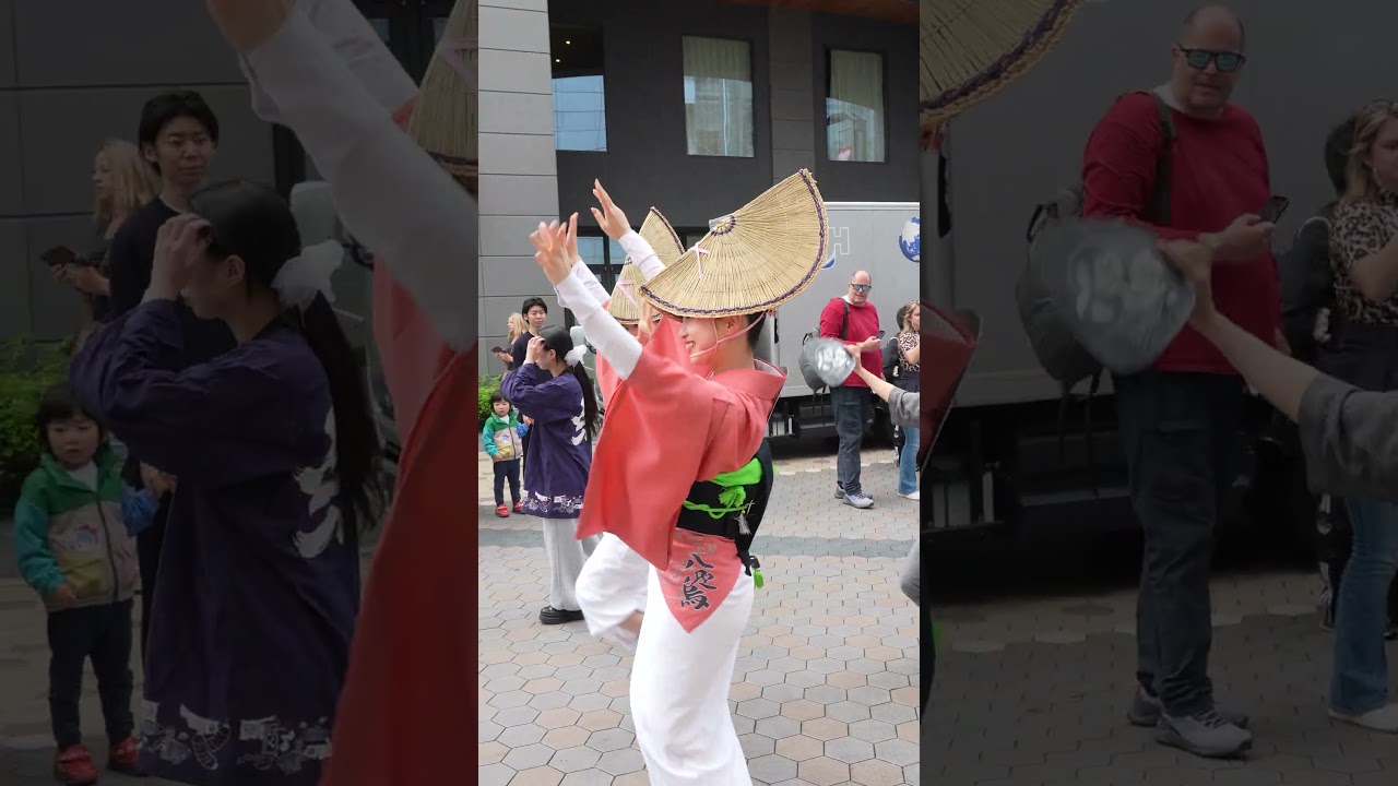 #浅草#阿波踊り #祭り #八咫烏