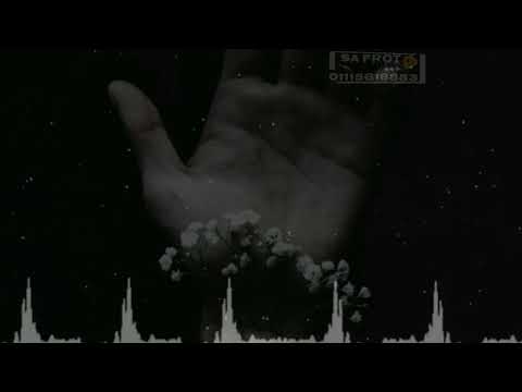 حاله واتس جمدا فشخ من مهرجان فارس وعامل بدع 2019