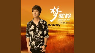 梦驼铃 (粤语DJ大金版)