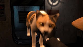 Skibidi Box Cat 23 (full episode)