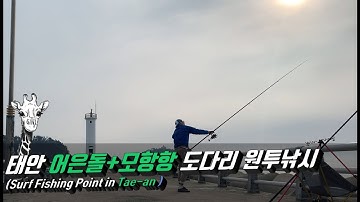 서해 태안 어은돌항 & 모항항 도다리 원투낚시 포인트(Surf fishing in Tae-an)