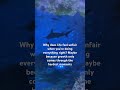 21/365 Quotes | #relatable #fypシ #quotes #inspiration #fyp #aquarium