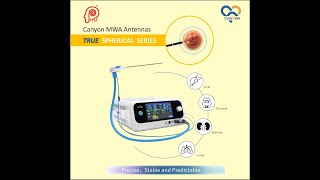 Tumor ablation treatment for solid tumors