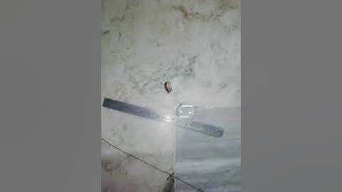 Focal length depending on surrounding medium activity