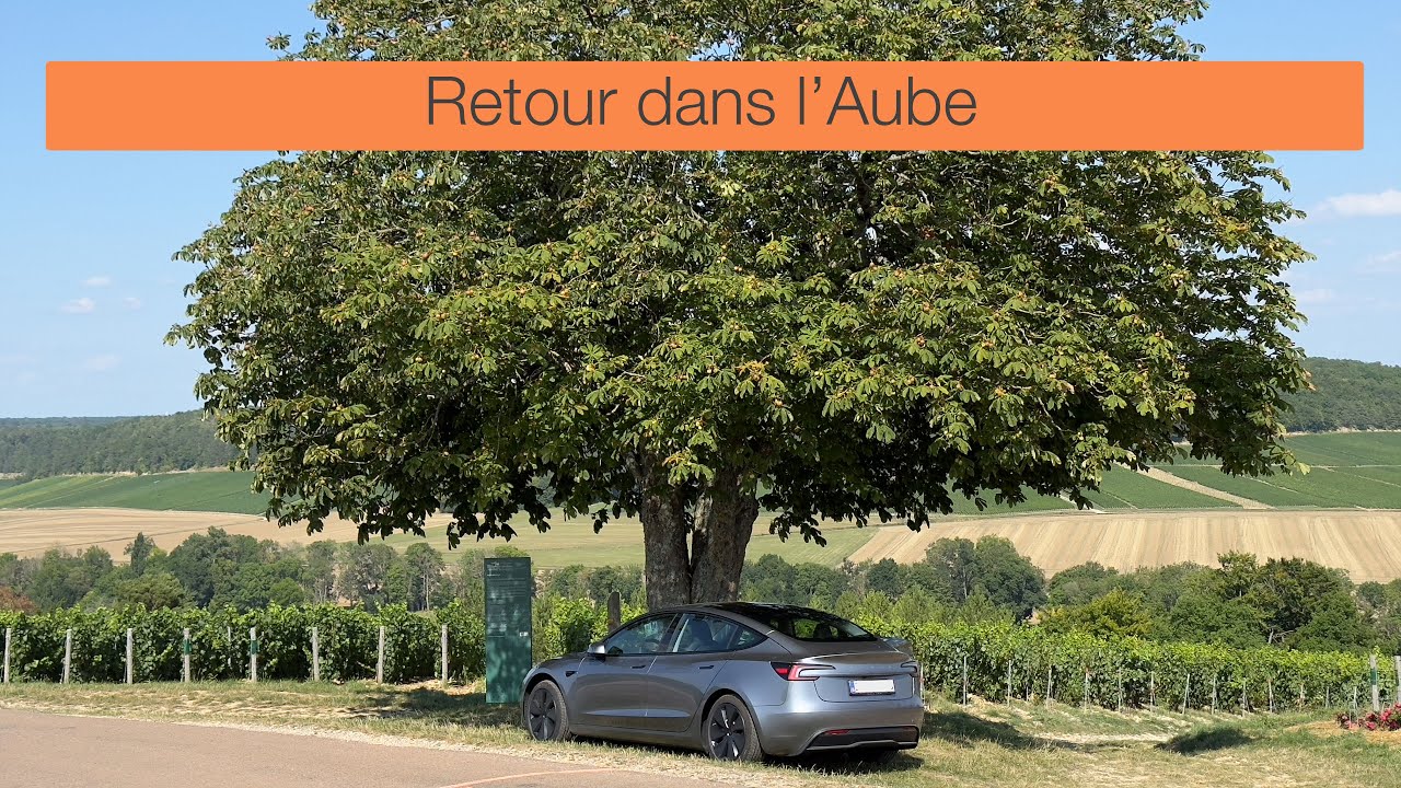 #181 - Retour en Forêt d'Orient