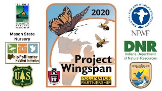 Project Wingspan - Pollinator Partnership Seed Collector 2019 - 2020
