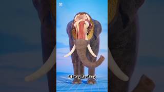 “How Strong Is an Elephant’s Trunk? 🐘💪| strength of elephant trunk