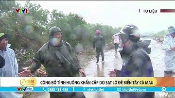 Công bố tình huống khẩn cấp do sạt lở đê biển Tây Cà Mau | VTVWDB
