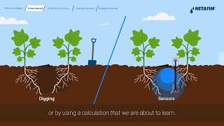 Irrigation Scheduling Explained | How to Schedule a Drip Irrigation System Step-by-Step