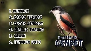 MASTERAN CENDET TERBAIK GACOR MUDAH MASUK