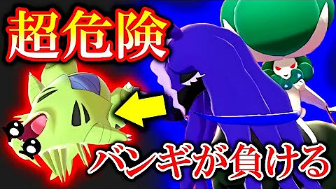 黒バドザシアンランド