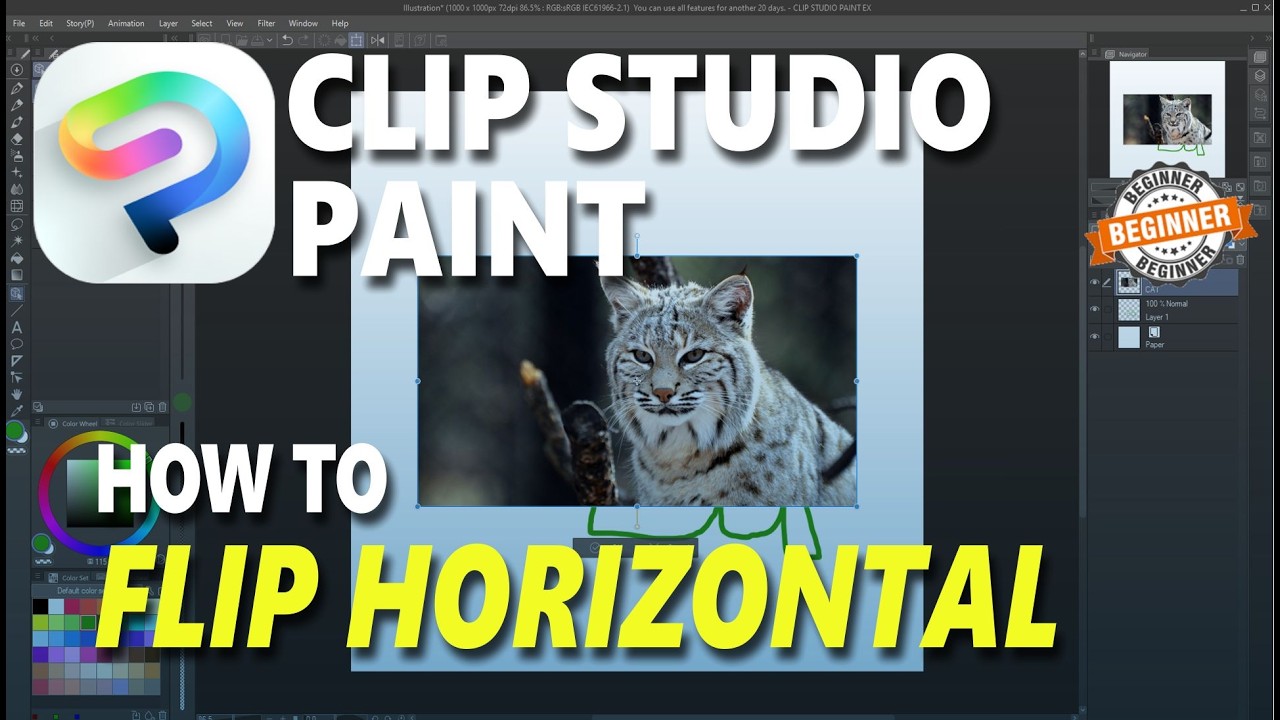 Clip Studio Paint How To Flip Horizontal - YouTube