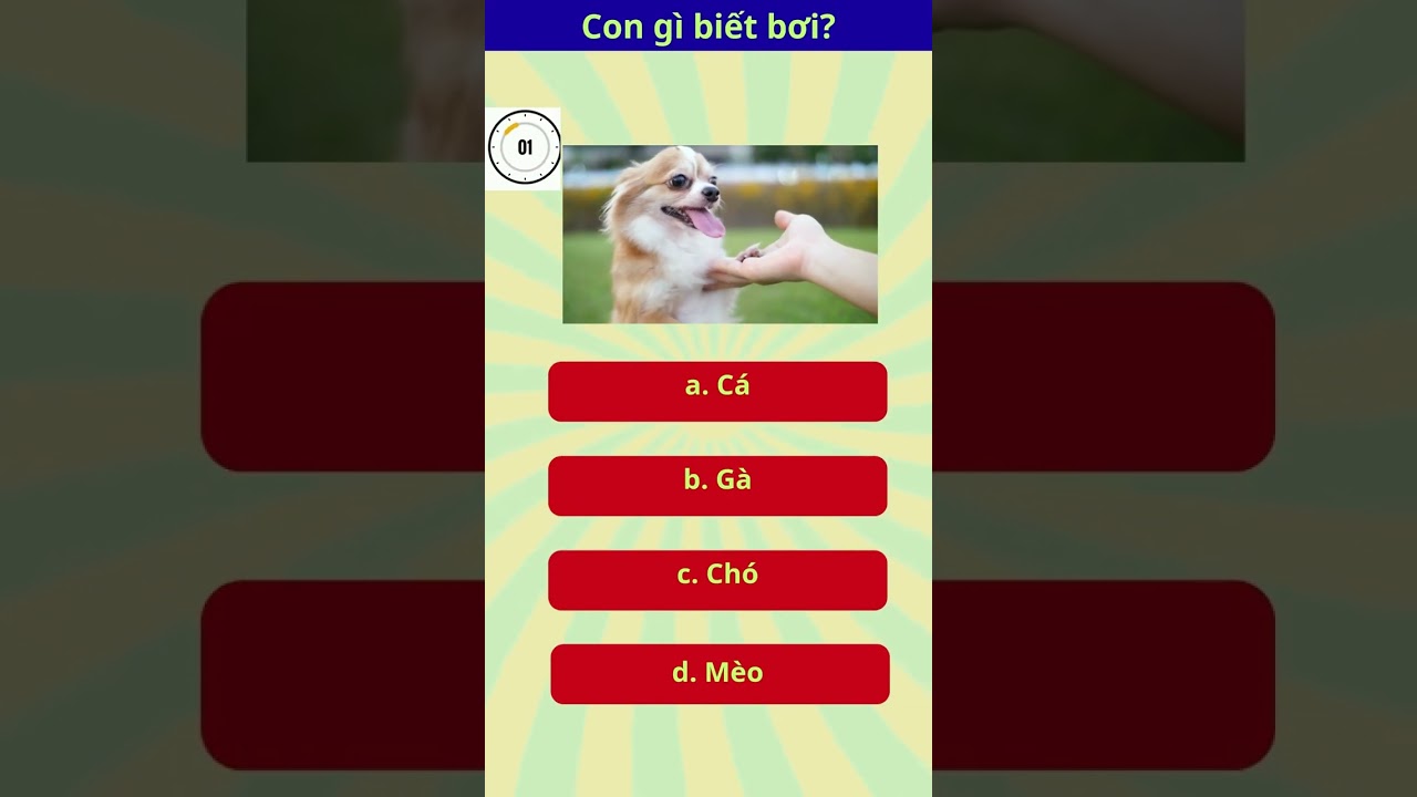 phần 1.Tìm Đáp Án Đúng. #dovuigiaitri