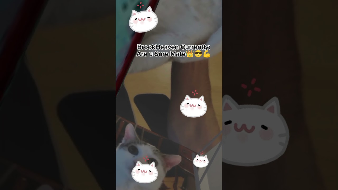 "BrookHeaven In It's Goofy Ah Skies Era."😆😂 