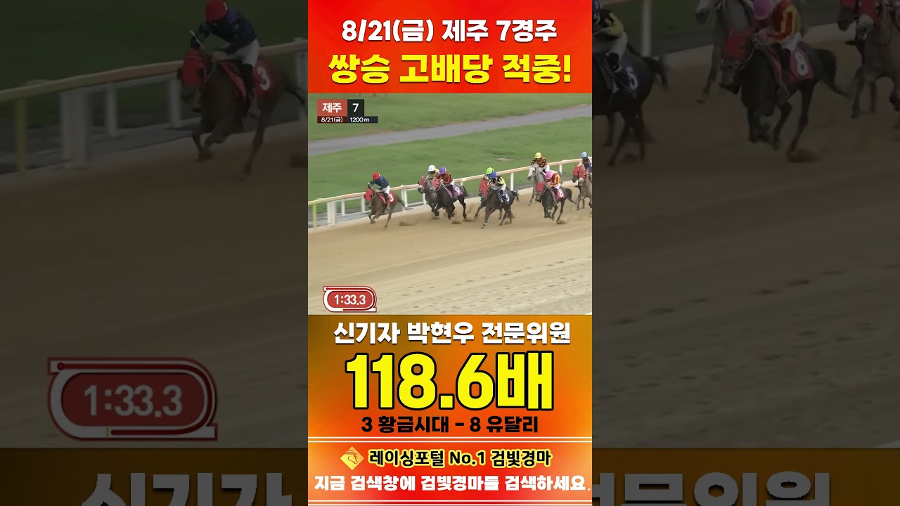 [제주 경마] 8월 21일 금요 7경주 신기자 박현우 전문위원 쌍승 고배당 적중 #경마 #horse #한국마사회 #automobile #하이라이트 #riding#뉴스 #korean