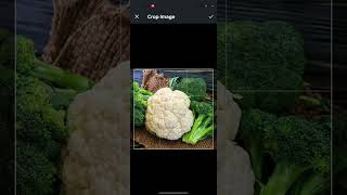 How to Upload Products in BuildMyStore | Product Upload #Shorts | AI store builder
