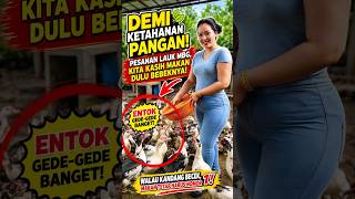 The Secret to Raising Healthy, Giant Muscovy Ducks!🤭#shorts #viralvideo The Secret to Raising Healthy, Giant Muscovy Ducks!🤭#shorts #viralvideo