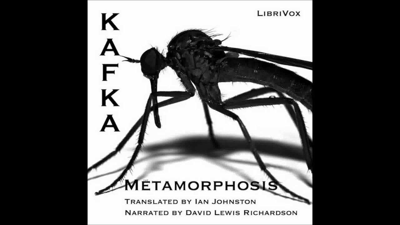 Download The Metamorphosis by Franz Kafka (Free Audio Book in English Language)